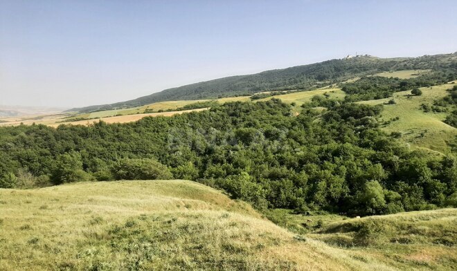 Satılır  torpaq 1 100 sot, photo 8 from 18