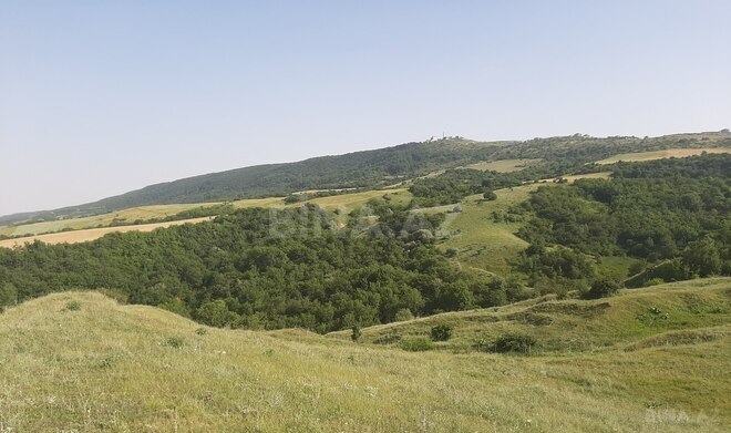 Satılır  torpaq 1 100 sot, photo 6 from 18