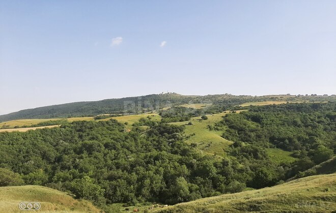 Satılır  torpaq 1 100 sot, photo 16 from 18