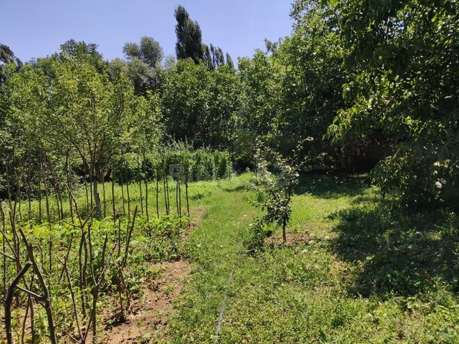 Satılır  həyət evi/bağ evi 120 m², photo 16 from 18