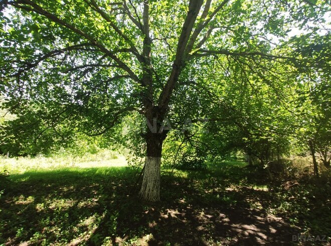 Satılır  həyət evi/bağ evi 120 m², photo 14 from 18