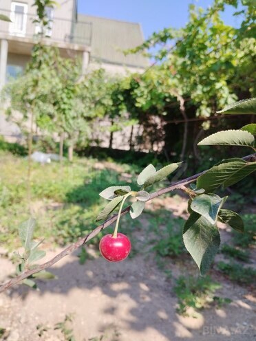 Продаётся 5-комн. дом/дача 180 м², пос. Гала, photo 10 from 32