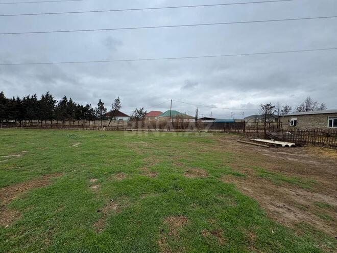 Продаётся  участок 450 сот, пос. Кюрдаханы, photo 6 from 17