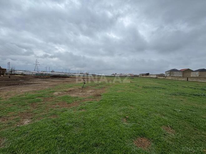 Продаётся  участок 450 сот, пос. Кюрдаханы, photo 4 from 17