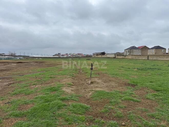 Продаётся  участок 450 сот, пос. Кюрдаханы, photo 11 from 17