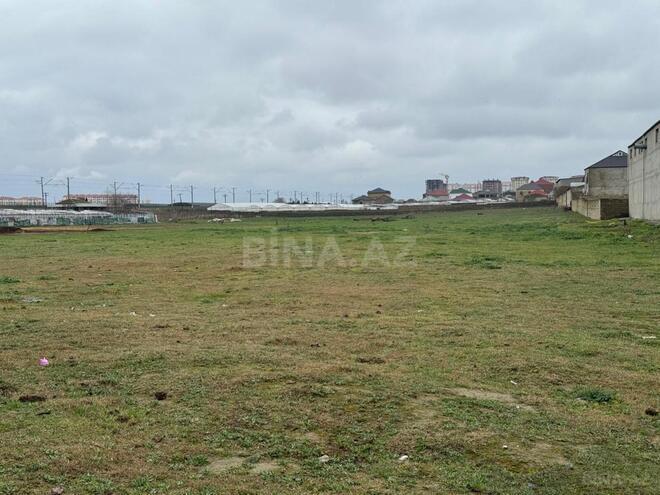 Продаётся  участок 450 сот, пос. Кюрдаханы, photo 7 from 17