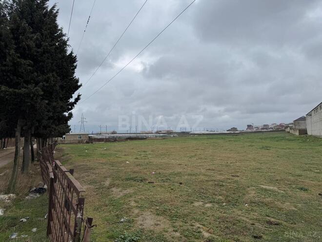 Продаётся  участок 450 сот, пос. Кюрдаханы, photo 12 from 17