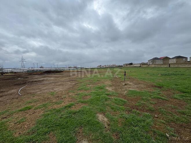 Продаётся  участок 450 сот, пос. Кюрдаханы, photo 15 from 17