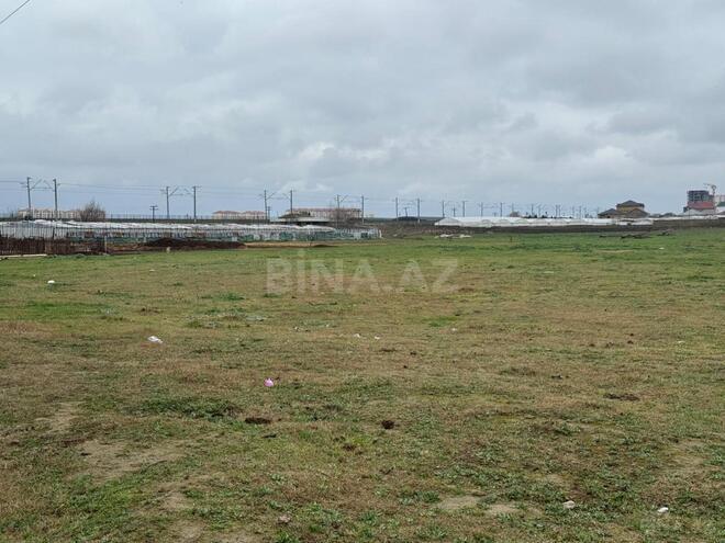 Продаётся  участок 450 сот, пос. Кюрдаханы, photo 14 from 17