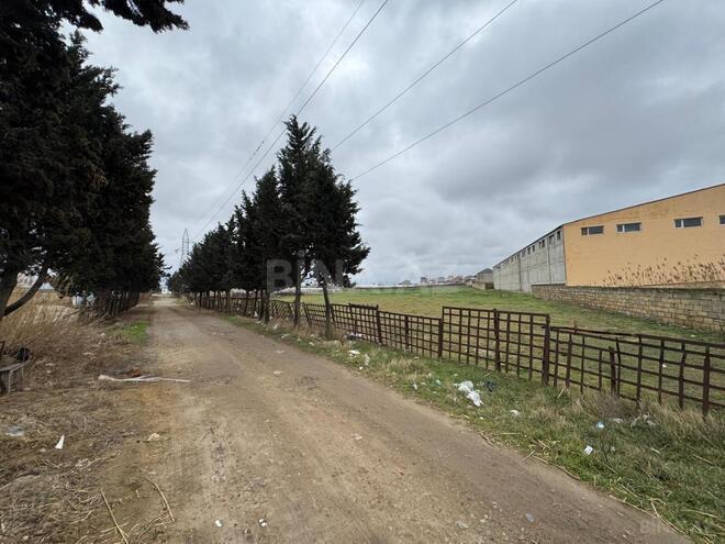 Продаётся  участок 450 сот, пос. Кюрдаханы, photo 16 from 17