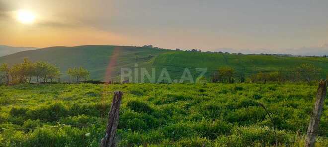 Satılır  torpaq 14 sot, photo 4 from 5