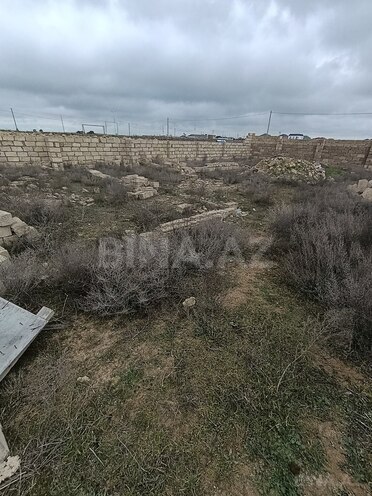 Продаётся  участок 100 сот, пос. Гала, photo 4 from 10