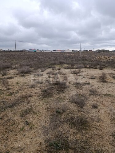 Продаётся  участок 100 сот, пос. Гала, photo 9 from 10