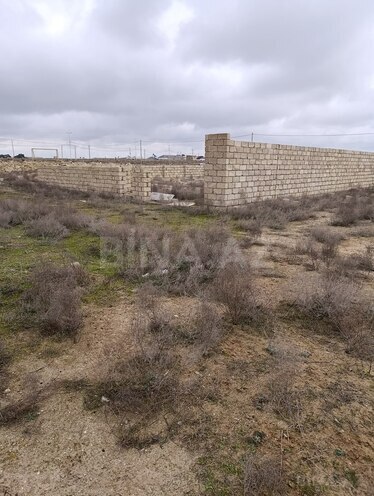 Продаётся  участок 100 сот, пос. Гала, photo 5 from 10