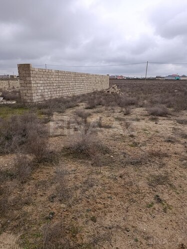 Продаётся  участок 100 сот, пос. Гала, photo 8 from 10