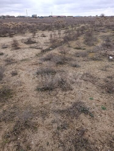 Продаётся  участок 100 сот, пос. Гала, photo 6 from 10