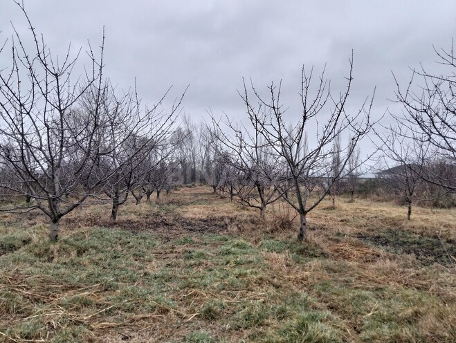 Satılır  torpaq 45 sot, photo 9 from 19