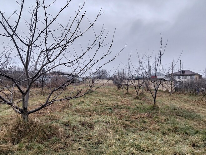 Satılır  torpaq 45 sot, photo 8 from 19