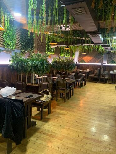 Сдаётся  объект 300 м², м. Низами, photo 13 from 14