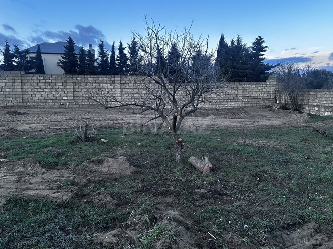 Продаётся  участок 4 сот, пос. Горадил, photo 4 from 6