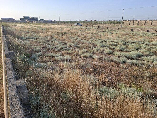 Satılır  torpaq 10 sot, Türkan q., photo 5 from 6