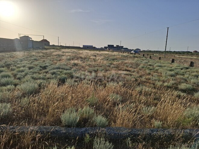 Satılır  torpaq 10 sot, Türkan q., photo 4 from 6