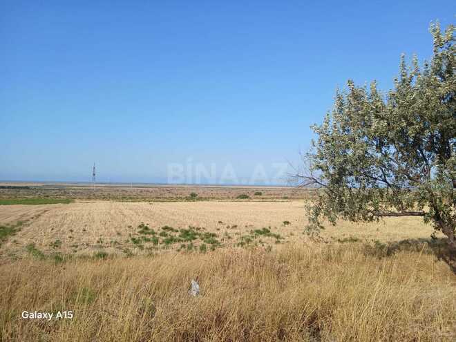 Satılır  torpaq 138 sot, photo 4 from 8