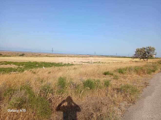 Satılır  torpaq 138 sot, photo 7 from 8