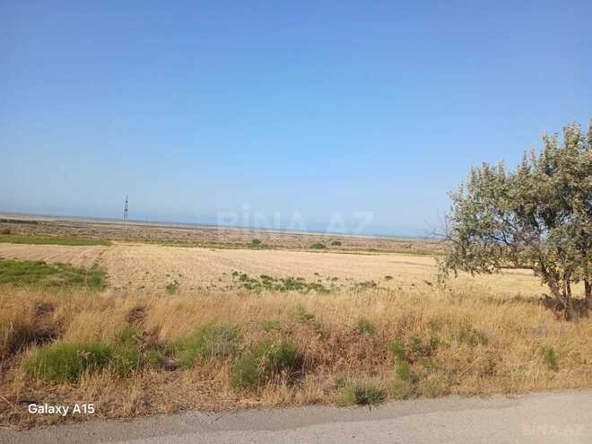 Satılır  torpaq 138 sot, photo 5 from 8