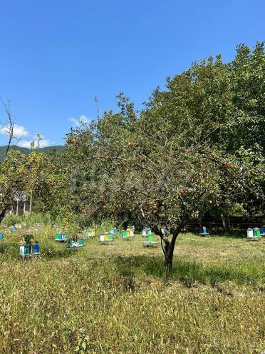 Продаётся  участок 24 сот, photo 6 from 7