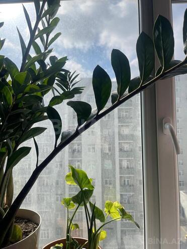 Satılır 3 otaqlı yeni tikili 73 m², Hövsan q., photo 22 from 32