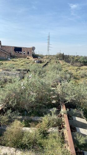 Satılır  torpaq 200 sot, Ələt q., photo 11 from 30