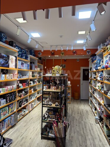 Satılır  obyekt 67 m², 28 May m., photo 8 from 14