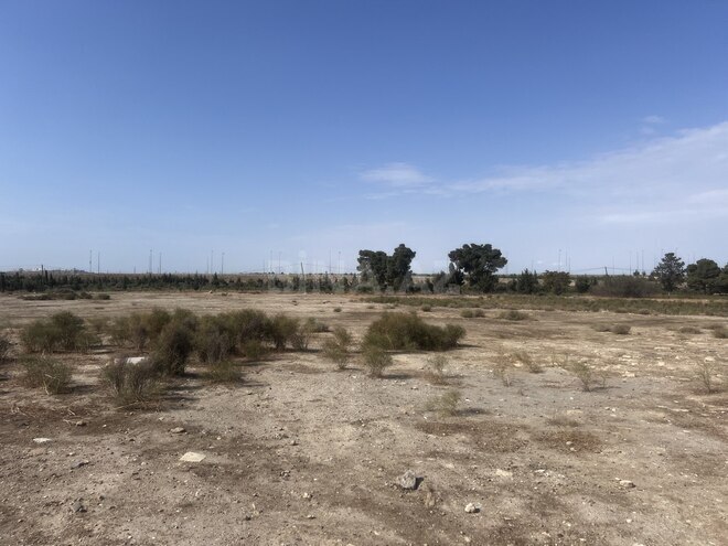 Продаётся  участок 17 сот, пос. Бина, photo 3 from 4