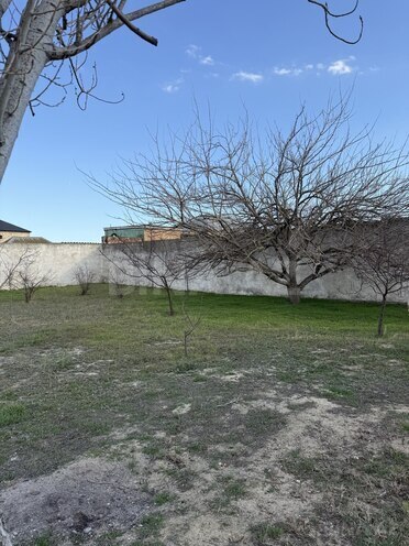 Satılır 7 otaqlı həyət evi/bağ evi 250 m², Görədil q., photo 27 from 30