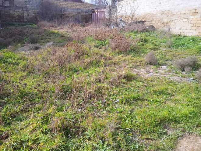 Satılır  torpaq 1.5 sot, Badamdar q., photo 3 from 6