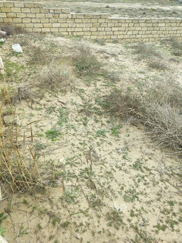 Продаётся  участок 12 сот, пос. Кюрдаханы, photo 8 from 10