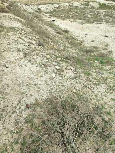 Продаётся  участок 12 сот, пос. Кюрдаханы, photo 9 from 10