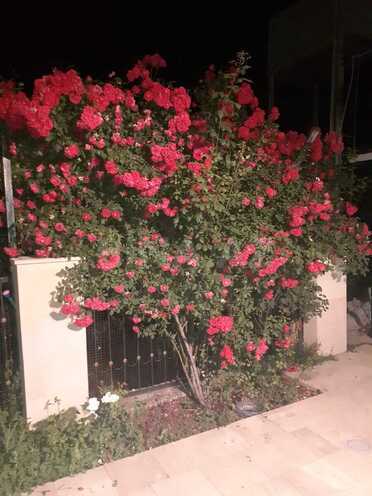 Satılır 5 otaqlı həyət evi/bağ evi 165 m², photo 6 from 24