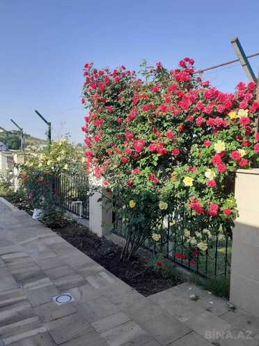 Satılır 5 otaqlı həyət evi/bağ evi 165 m², photo 22 from 24