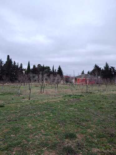 Satılır  torpaq 33.1 sot, Nardaran q., photo 4 from 16