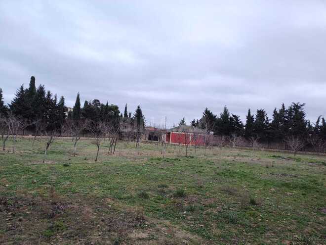 Satılır  torpaq 33.1 sot, Nardaran q., photo 3 from 16