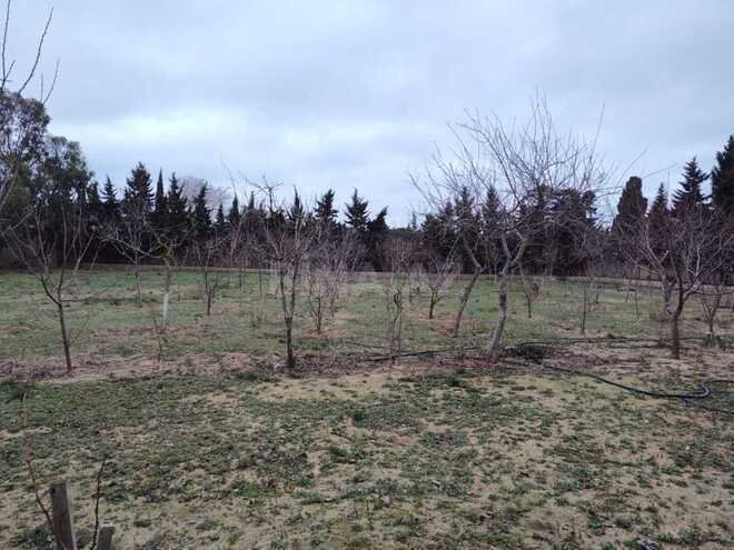 Satılır  torpaq 33.1 sot, Nardaran q., photo 8 from 16