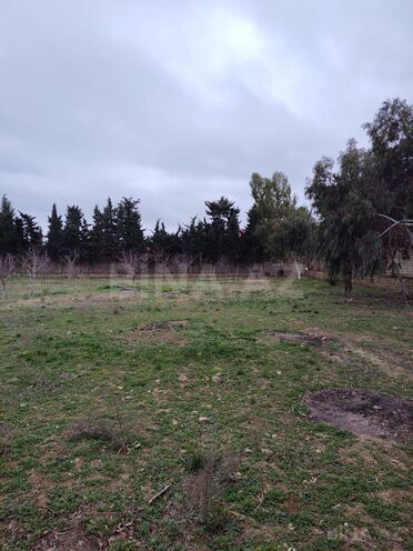 Satılır  torpaq 33.1 sot, Nardaran q., photo 6 from 16