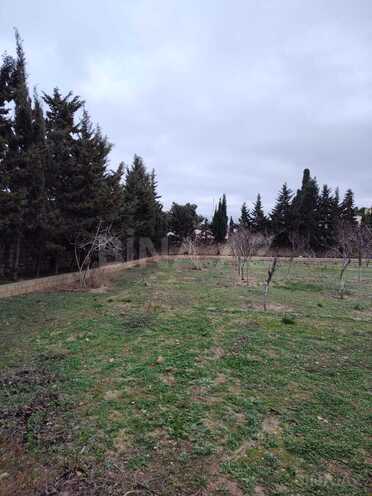 Satılır  torpaq 33.1 sot, Nardaran q., photo 5 from 16