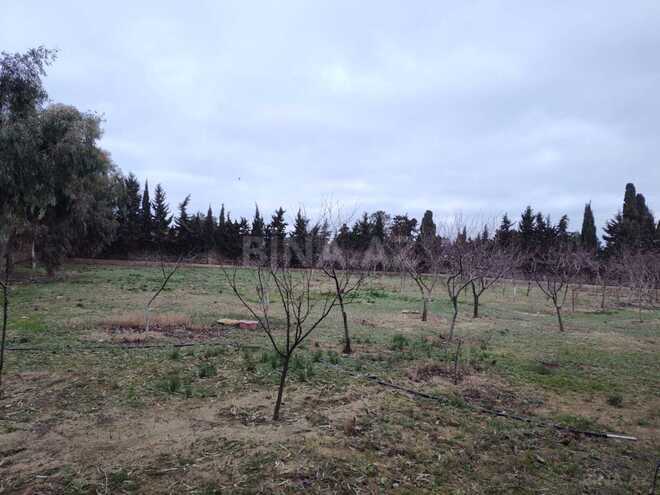 Satılır  torpaq 33.1 sot, Nardaran q., photo 9 from 16