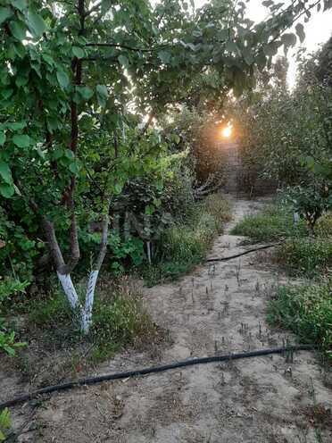 Satılır  torpaq 5.2 sot, Albalılıq q., photo 3 from 9