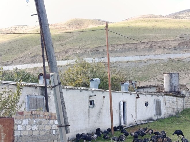 Satılır  obyekt 12 000 m², photo 12 from 20