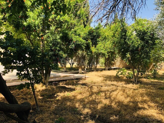 İcarəyə verilir 5 otaqlı həyət evi/bağ evi 100 m², Türkan q., photo 9 from 32