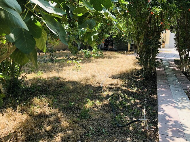 İcarəyə verilir 5 otaqlı həyət evi/bağ evi 100 m², Türkan q., photo 6 from 32